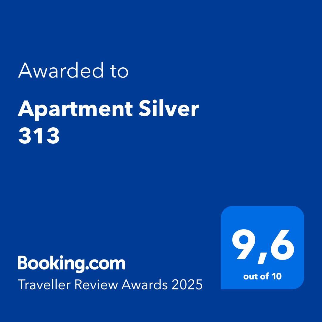 Silver 313 Apartment *